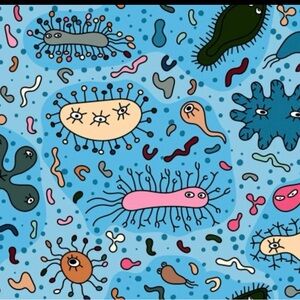 Free Shipping & Mystery Gift!